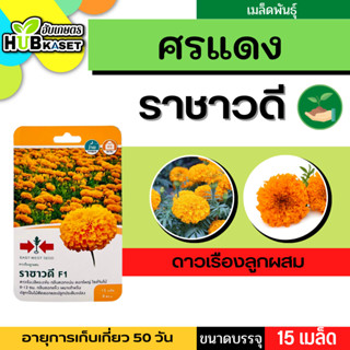 ศรแดง 🇹🇭 ดาวเรืองลูกผสม ราชาวดี F1 ขนาดบรรจุประมาณ 15 เมล็ด อายุเก็บเกี่ยว 50 วัน