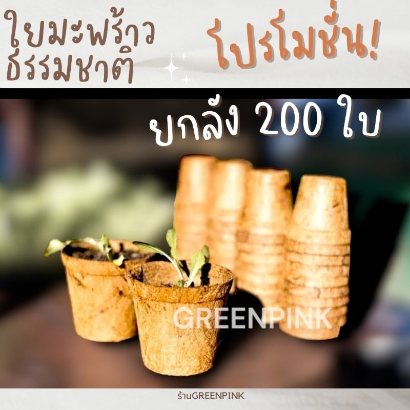 กระถางใยมะพร้าว ยกลัง 200 ใบ
