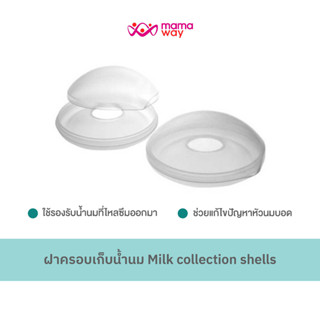 ฝาครอบเก็บน้ำนม Milk collection shells ช่วยป้องกันน้ำนมซึม