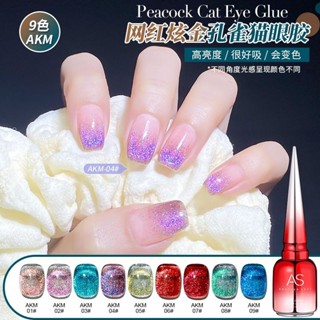 สีลูกแก้ว Cat Eye (รหัส AKM) เซ็ต 9 สี แถมชาร์จฟรี