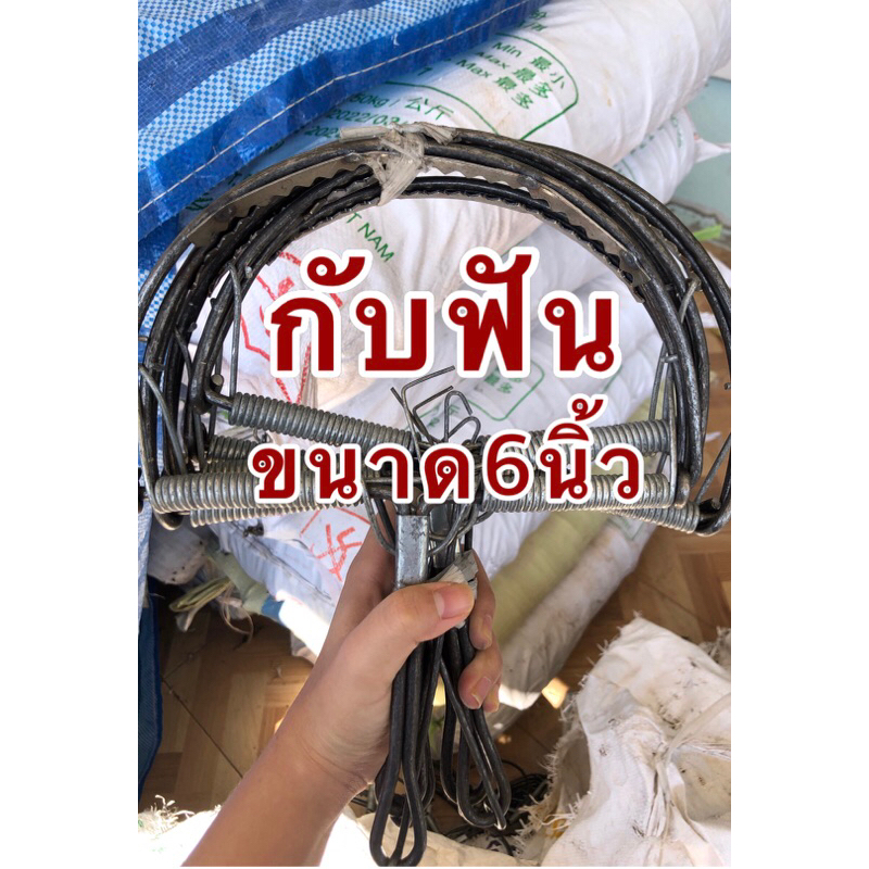 กับดักหนู ( กับฟัน ) ขนาด6นิ้ว 1มัดมี 10ชิ้น