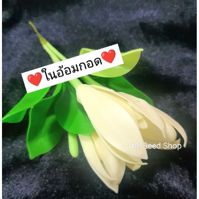 ดอกจำปีติดผม ขนาดใหญ่เท่าฝ่ามือ  ขนาดจั้มโบ้  ดอกไม้ดินปั้น  ประดับผม สินค้าพร้อมส่ง งานแต่งงาน  มงกุฎดอกไม้ ประดับผม
