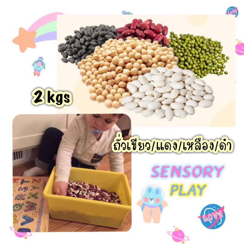 Sensory play ถั่ว 4 ชนิด ถั่วดำ แดง เขียว เหลือง Lookmaebaby
