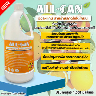 ปุ๋ยน้ำตระกูลส้ม1000ML.ช่วยกระตุ้นการเจริญเติบโตของลำต้น เพิ่มน้ำหนักผลผลิต ALL GAN สาหร่ายสกัดไซโตไคนิน สร้างฮอร์โมนพืช