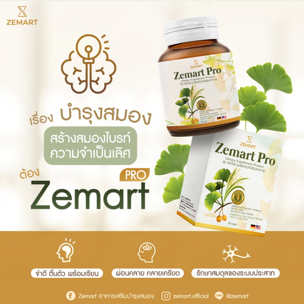 [ขายดี 🔥] บำรุงสมองเพิ่มความจำ ลดอัลไซเมอร์ อิสลามทานได้ ZEMART PRO แบรนด์ซีมาร์ท สารสกัดนำเข้าจากปร