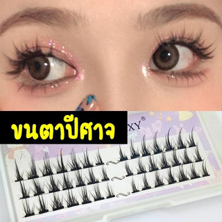 ขนตาปลอม รุ่นปีศาจ ยาว 7-12mm จำนวนย 42 ช่อ