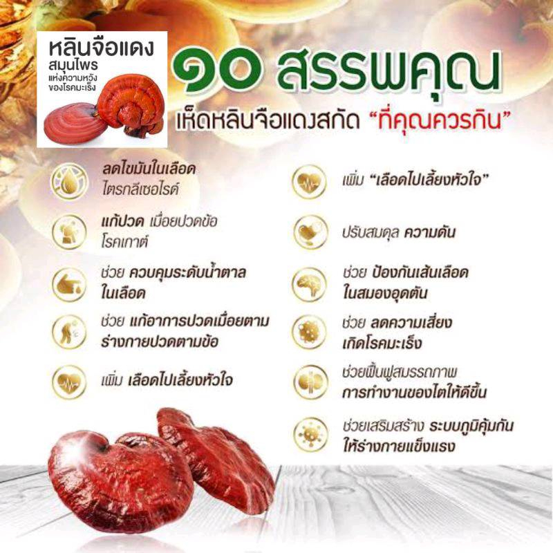 Khaolaor Lingzhi หลินจือพลัสซี เห็ดหลินจือสกัด บำรุงร่างกาย ลดน้ำตาลในเลือด เสริมภูมิคุ้มกัน 60 เม็ด - รูปที่ 2