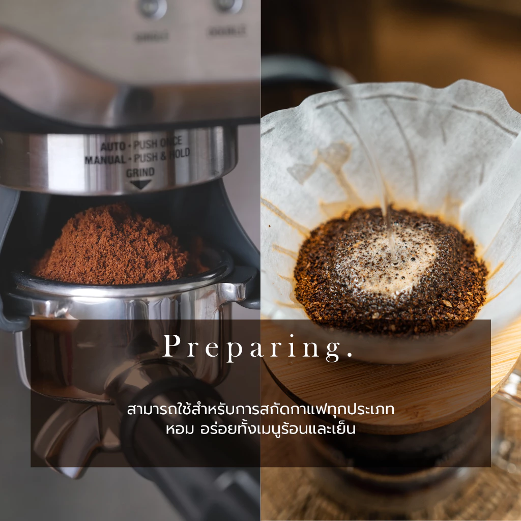 Macnuts Roasters เมล็ดกาแฟ Huay Chompu Single Origin Arabica thumbnail 9