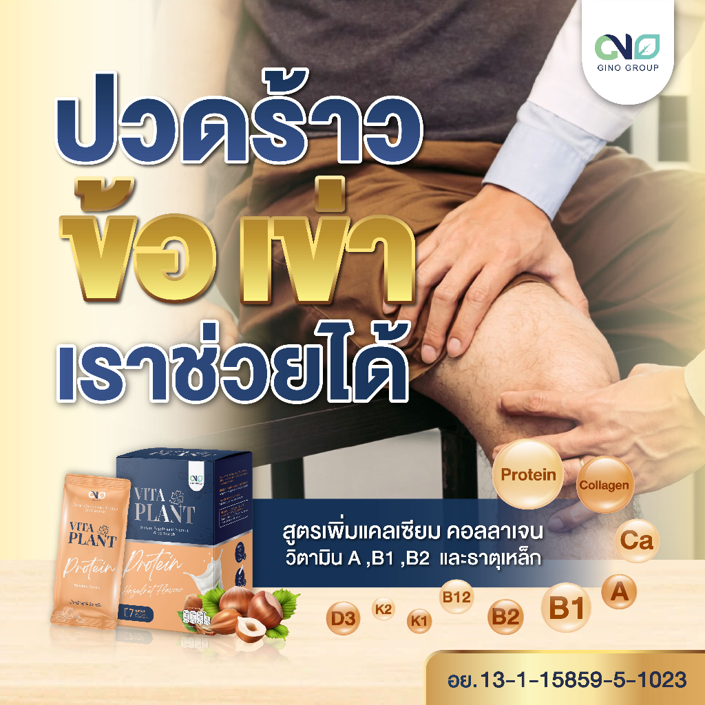 ✅พร้อมส่งฟรี✅ Gino Vita Plant Protein จิโน ไวต้า แพลนท์ โปรตีนพืชแท้ ไม่ผสมถั่วเหลือง ผู้แพ้ถั่วแหลื