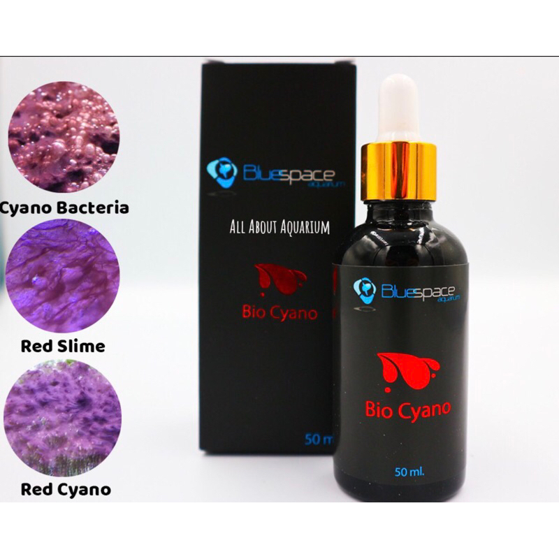 Blue space Bio Cyano เป็นแบคทีเรียสำหรับมากำจัดตะใคร่แดงโดยตรง ปลอดภัยต่อสิ่งมีชีวิตทุกชนิด ขนาดง50 ml.