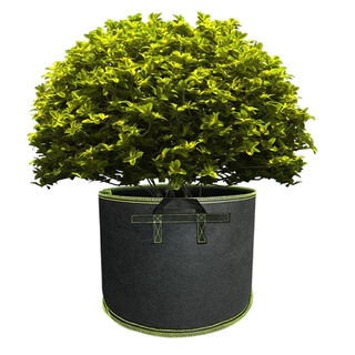 Non-woven fabric Grow bag กระถางผ้า สีดำขอบเขียว กระถางผ้าปลูกต้นไม้ ถุงปลูกต้นไม้ 1/2/3/5/7/10/12/15/20/30Gallon