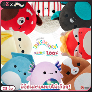 [SML7.5] ตุ๊กตาสกุชชี่ Squishmallows ลายใหม่! ขนาด 7.5 นิ้ว สัมผัสเหมือนมาชเมลโล่ ขนาดเหมาะมือ ตุ๊กตานุ่มนิ่ม ลายน่ารัก