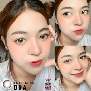 ร้านเลนส์สวยคอนแทค Wink รุ่น DNA สีเทา / สีBrown  นำเข้าจากเกาหลี มี อย.มีค่าสายตาและสายตาปกติแฟชั่น ขายดีสุดๆๆ