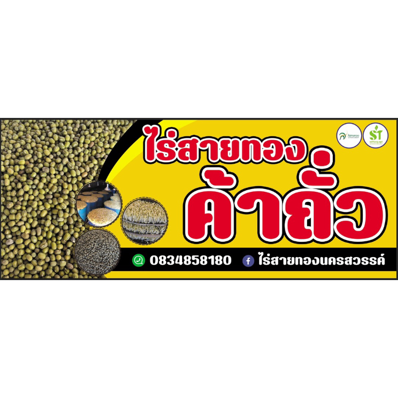 ถั่วเขียว 5ก.ก สำหรับปลูกเพื่อเป็นพืชคลุมดิน เป็นปุ๋ยพืชสด ไม่ใช้ขยายพันธุ์ - รูปที่ 6