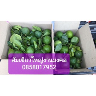 ส้มเช้งเขียวใหญ่สำหรับงานแต่ง5กก.รวมส่งฟรี