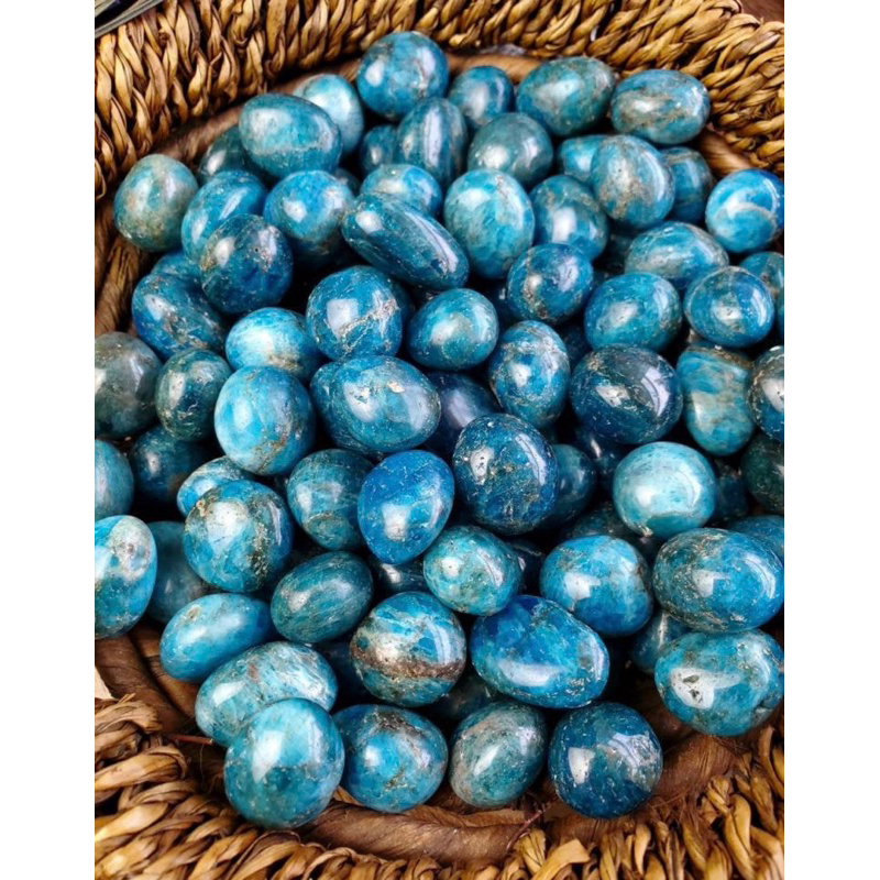 1 Piece Natural Polished Apatite Tumble - Throat Chakra 1-2 cm Size