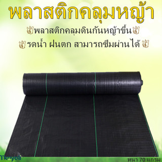 ผ้าคลุมวัชพืช พลาสติกคลุมวัชพืช ผ้าคลุมหญ้า ผ้าคลุมดินกันวัชพืช พลาสติกคลุมวัชพืช พลาสติกคลุมดินกันหญ้าขึ้น