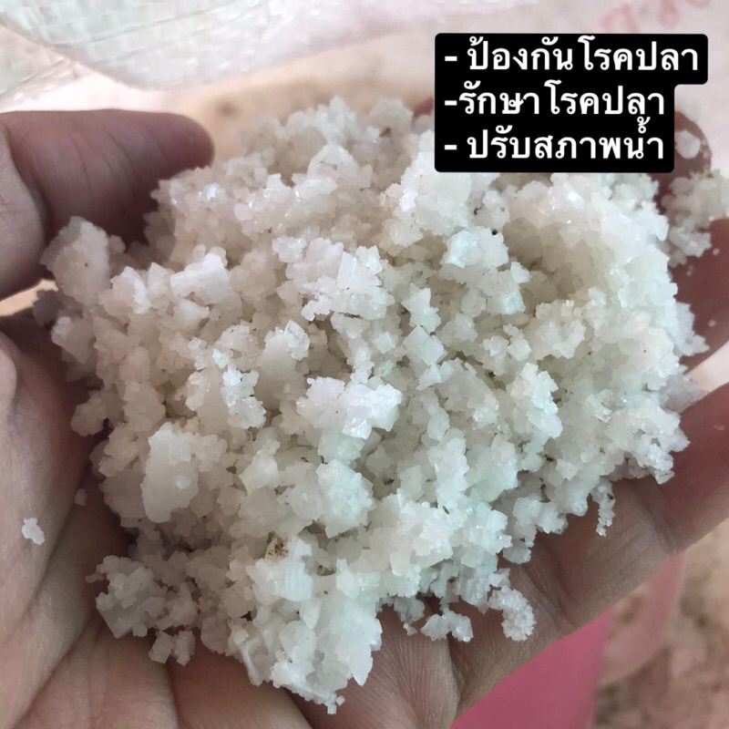 เกลือทะเล ขาว สะอาด ใช้ ป้องกันเเละรักษาโรค ปลาสวยงามทุกชนิด
