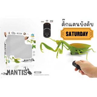 ตั้กแตนบังคับได้มาพร้อมถ่าน Giant mantis