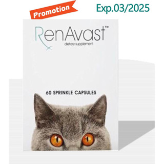 RenAvast cat 60 capsules เรนอะวาสท์ อาหารเสริมบำรุงไตสำหรับแมว