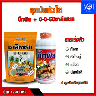 ชุดเร่งหัวมัน ชุดมันหัวโตทันใจ5เดือน++ [ บิ๊กฟิล+0-0-60ชาลีเฟรท ] สารเร่งหัว หัวดก หัวใหญ่ แป้งดี น้ำหนักดี