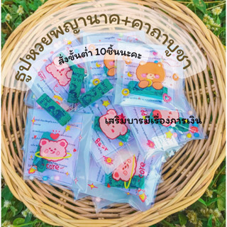 ธูปหวยพญานาคพร้อมคาถา เสริมเรื่องการเงิน ของชำร่วย ของขวัญ ของปัจฉิม