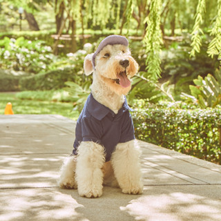 Indigo Polo Shirt เสื้อโปโลน้องหมา น้องแมวสีกรม