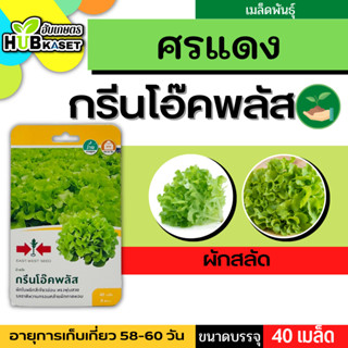 ศรแดง 🇹🇭 ผักสลัด กรีนโอ๊คพลัส ขนาดบรรจุประมาณ 40 เมล็ด อายุเก็บเกี่ยว 58-60 วัน