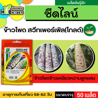 ซีดไลน์ 🇹🇭 ข้าวโพดข้าวเหนียวหวานลูกผสม สวีทเพอร์เพิล (โกลด์)  ขนาดบรรจุประมาณ 50 เมล็ด อายุเก็บเกี่ยว 58-62 วัน