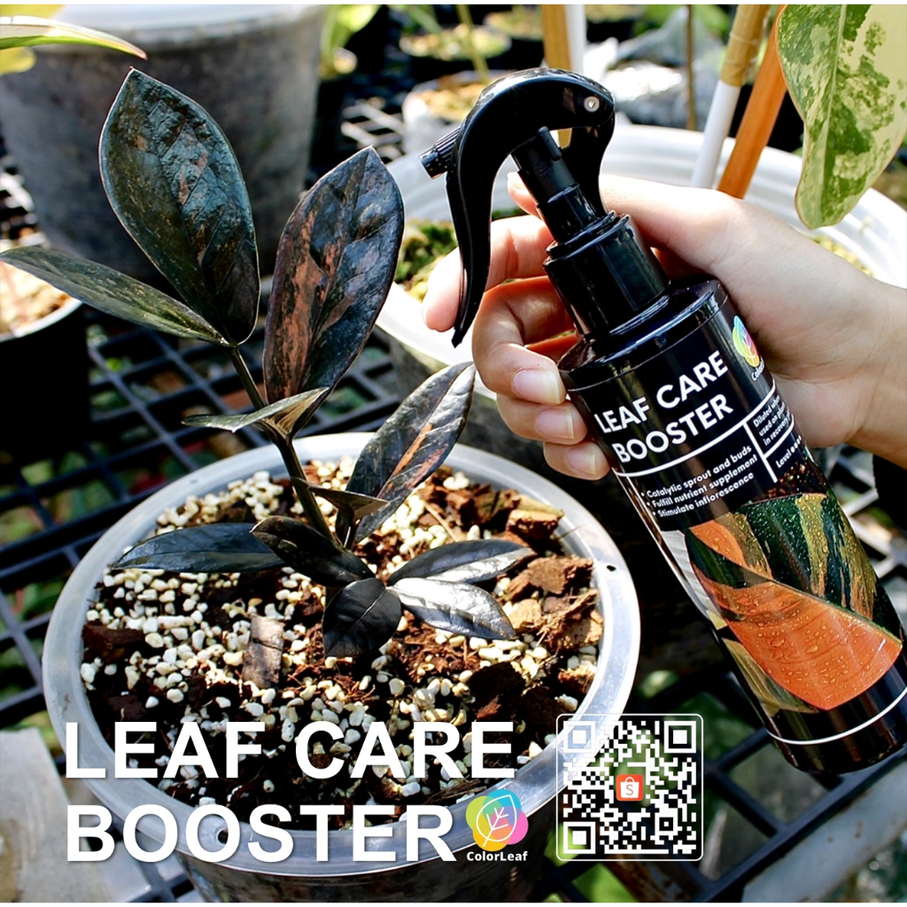 Color Leaf : LEAF CARE BOOSTER ผลิตภัณฑ์บำรุง เร่งราก เร่งโต เร่งหน่อและการแตกตา