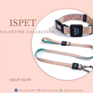 ISPET VALENTINE COLLECTION LIMITED Collar+Leashes