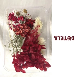 ดอกไม้แห้งจัดเซ็ตไม่ระบุชนิดสำหรับงานประดิษฐ์ พร้อมส่ง