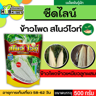 ซีดไลน์ 🇹🇭 ข้าวโพดข้าวเหนียว สโนว์ ไวท์ ขนาดบรรจุ  500 กรัม/ซอง