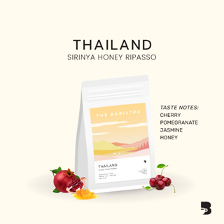 เมล็ดกาแฟ คั่วอ่อน - Thailand Sirinya Honey Ripasso