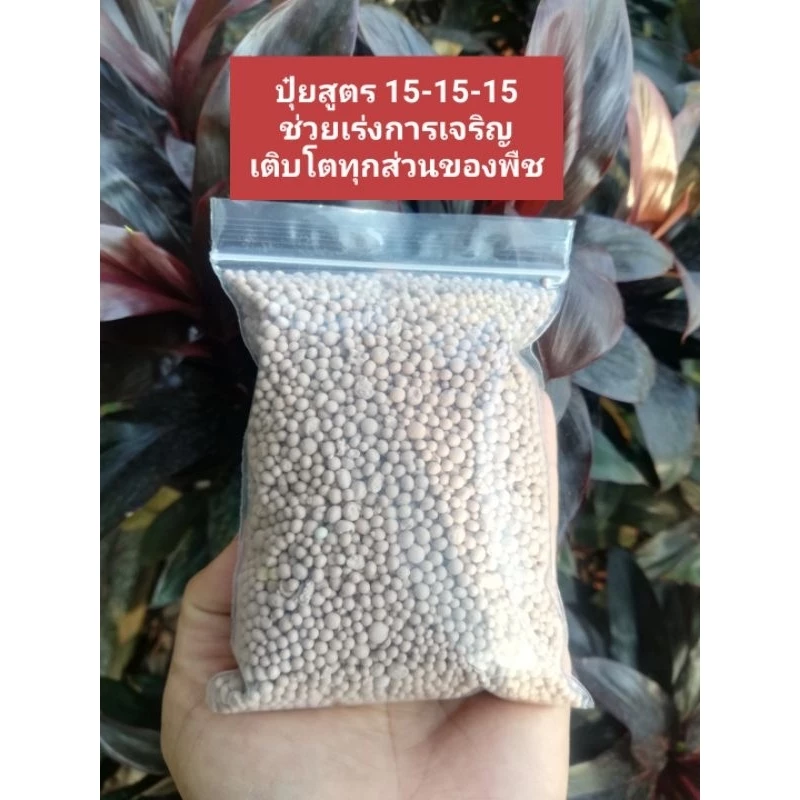 ปุ๋ยสูตร 15-15-15 ขนาด 100 กรัม ราคา 15 บาท บำรุงต้น ใบ​ ดอก