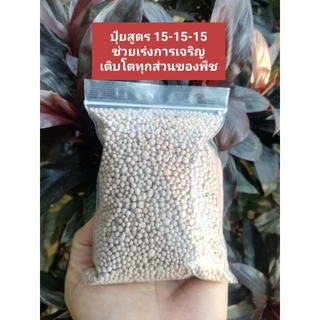 ปุ๋ยสูตร 15-15-15 ขนาด 100 กรัม ราคา 15 บาท บำรุงต้น ใบ​ ดอก
