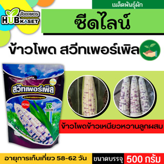 ซีดไลน์ 🇹🇭 สวีทเพอร์เพิล ข้าวโพดข้าวเหนียวหวานลูกผสม  ขนาดบรรจุ 500 กรัม/ซอง