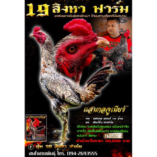 ไข่ไก่ชน VIP ลูกแสนกล แชมป์ 70 ล้าน รับประกันเชื้อ!!!(ส่งด่วน)!!!