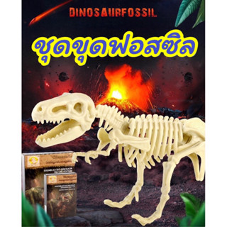 🦖🦕พร้อมส่ง‼️ชุดขุดฟอสซิลไดโนเสาร์ DIY Dinosaur Fossil🦖🦕