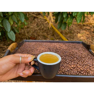 เมล็ดกาแฟคั่ว แม่กก Arabica100% ปางขอน Maekok Coffeer
