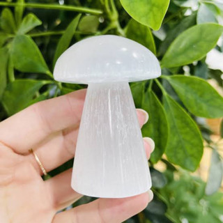 1 pc Natural Polished selenite Mashroom shape / Top High Quality Stone / Pocket Stone Healing Chakra.