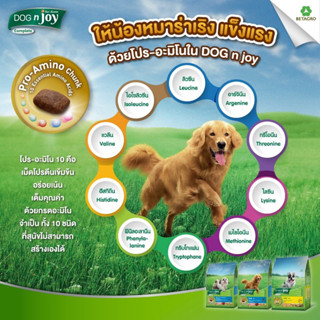 Dog n joy ด็อก เอ็นจอย คอมพลีส อาหารชนิดแห้งสำหรับสุนัขโต 10 kg