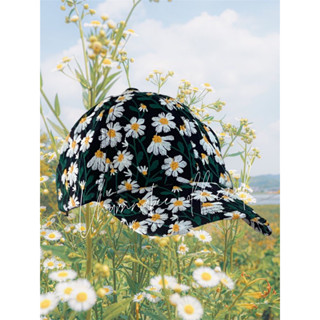 hat gab Daisy flower