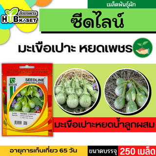 ซีดไลน์ 🇹🇭 มะเขือเปราะหยดน้ำลูกผสม หยดเพชร ขนาดบรรจุประมาณ 250 เมล็ด อายุเก็บเกี่ยว 65 วัน