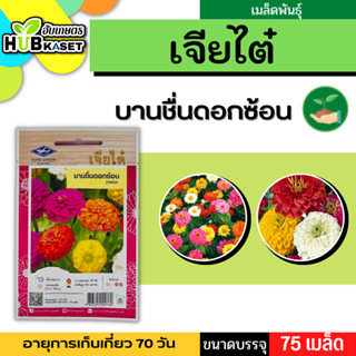 เจียไต๋ 🇹🇭 บานชื่น ดอกซ้อน ขนาดบรรจุประมาณ 75 เมล็ด ระยะเก็บเกี่ยว 70 วัน