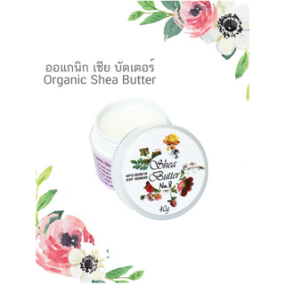 เชีย บัตเตอร์ ออแกนิกส์ เชียบัตเตอร์ เชียบัตเตอOrganic 40กรัม Shea Butter 100% Organic 40g.