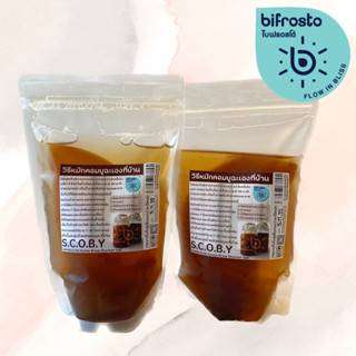 SCOBY สโกบี้ พร้อมสูตรสำหรับหมักคอมบูฉะ  by A Matter  Bifrosto