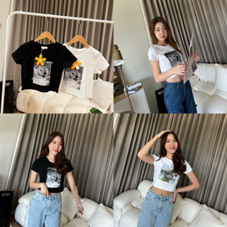 ANIMAL TEE CROP เสื้อครอปแขนสั้นลายน้องหมา