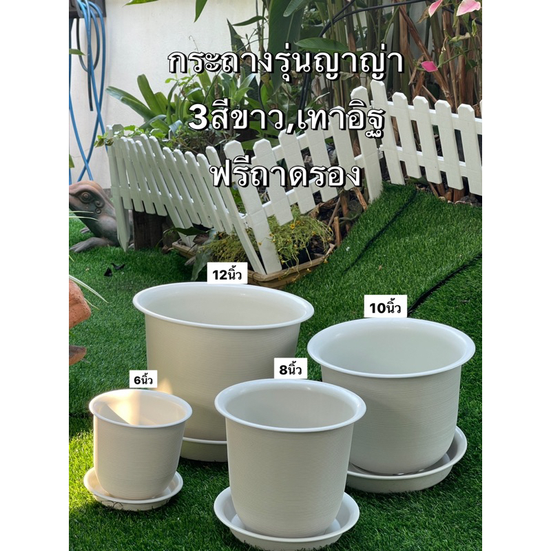 กระถาง12นิ้ว ต้นไม้ 10นิ้ว [ กระถางมินิมอล+จานรอง ] minimal  สีขาว
