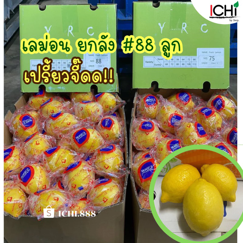 ยกลัง 🍋 เลมอนนอก สินค้านำเข้า (แพ็คเกจแตกต่างกันตามล๊อตสินค้า)